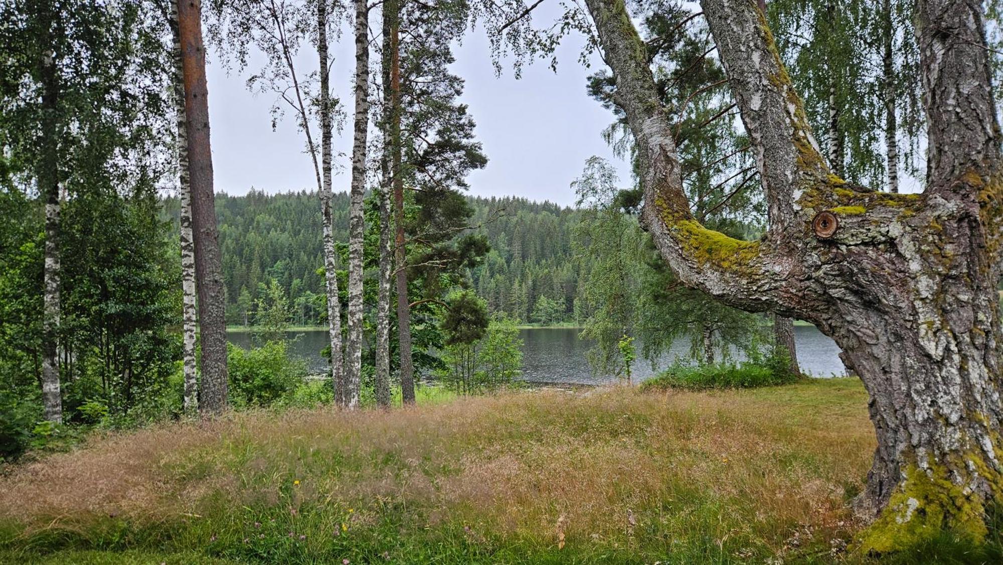 Kilsborgs Gard - Lakehouse Svanskog Extérieur photo